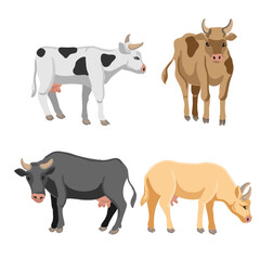 vector drawing set of cows, farm animals isolated at white background, hand drawn illustration
