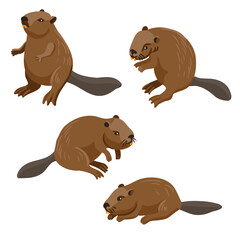 vector drawing beavers, cartoon animal isolated at white background, hand drawn illustration