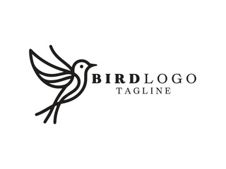 Bird Logo Design Icon Symbol Vector Template