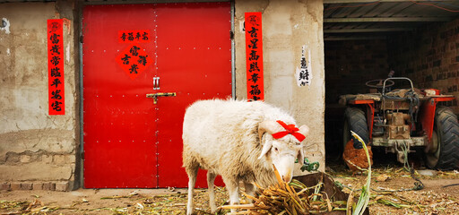 Chinese lucky goat