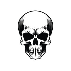 Fototapeta premium Free hand drawn hand drawn animals skull body pa skull boxer skull logo skull vector fetal skeleton health galaxy skeleton masks for halloween texture t-shirt painting