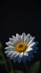 Beautiful Colourful flowers mobile wallpapers, Nature beauty, Beautiful nature creations, Beautiful flowers mobile wallpapers, Mobile wallpaper