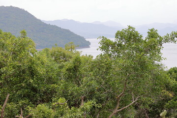 Obraz premium Mountain panorama with lake, forest and blue sky. Mountain panorama in forest and blue sky.