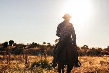 Man in hat riding a horse in the countryside at sunset - obrazy, fototapety, plakaty