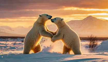 Wandaufkleber Polar bears playing in the snow © Sabrina