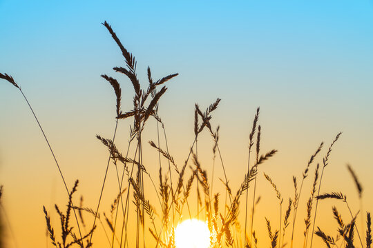 Wild Prairie Sunset