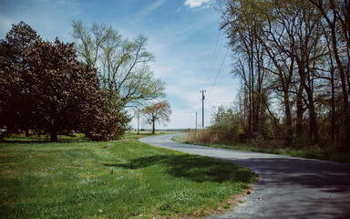 Curving road with trees and blue sky in the spring in sunshine near Easton Maryland