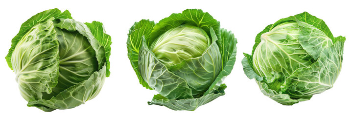 Fototapeta premium Raw cabbage isolated on white