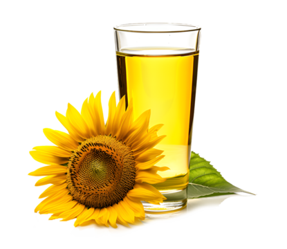 Sunflower oil in glass isolated on transparent or white background, png	
