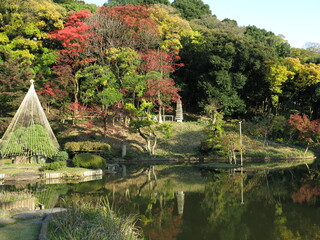 紅葉や雪吊りが美しい文京区の肥後細川庭園（大池・十三重の塔）