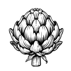 Obraz premium Artichoke. Food and herbs. Black and white outline. Vector illustration.