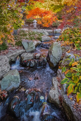 Landscaped stream in Midwestern Japanese garden in autumn; Japanese lantern and colorful bushes in background