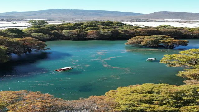 Lago de cam&eacute;cuaro, con un par de lanchas sobre el agua cristalina de color verde y azul, rodeada de &aacute;rboles sabinos. 