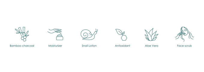 Bamboo Charcoal, Moisturizer, Snail Lotion, Antioxidant, Aloe Vera Vector Icons Set
