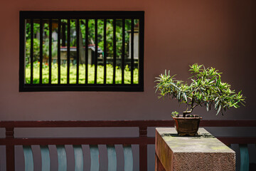 The classical Chinese garden landscape of Benyuan Lin's Garden, a Qing Dynasty aristocratic estate in Taipei, Taiwan, featuring a lattice-style window on the corridor and a potted plant on a shelf.