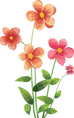 A digital illustration showcasing a cluster of radiant flowers with petals in shades of pink and orange against a white background.
