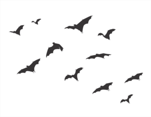 bats silhouette for halloween design