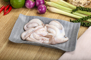 Delicous fresh raw uncooked octopus