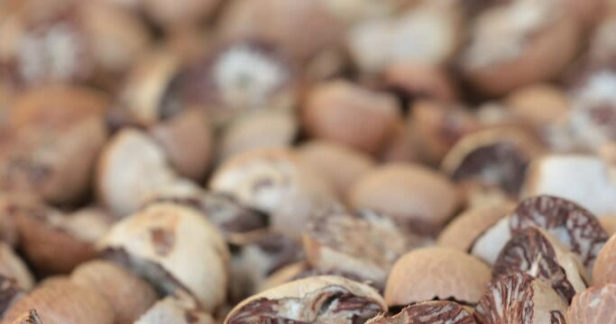 Process of Dried betel nut,Drying Areca Nut background