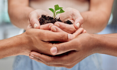 Plants, people and hands together for growth, development and sustainable business planning for...