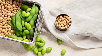  Soybeans on light cotton and wooden background. Vegan food concept. © bit24