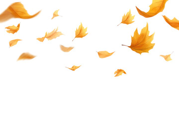 PNG Falling maple leaf effect, transparent background