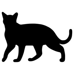 Cat shadow single 3 cute on a white background, vector illustration.