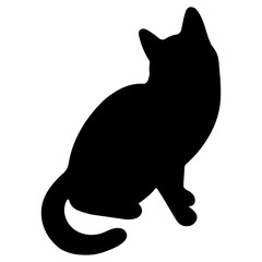 Cat shadow single 8 cute on a white background, vector illustration.