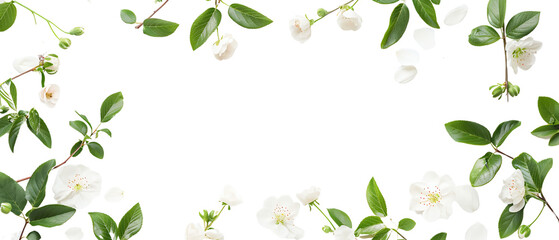 Spring flower frame white background copy space. - obrazy, fototapety, plakaty