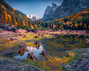 Shallow waters of Gosausee (Vorderer) lake with Dachstein glacier on background. Attractive autumn...