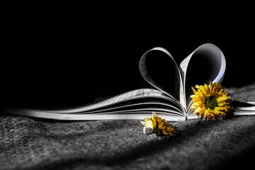 a flower and a book in the shape of love, flowers and a book in the shape of a heart