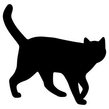Cat shadow single 40 cute, png illustration.