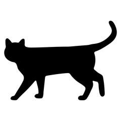 Cat shadow single 4 cute, png illustration.