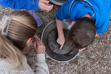 Unrecognizable children search for gold with an iron pan in Sovereign Hill, Ballarat, Australia....