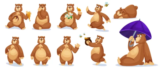 Foto op Plexiglas Cute bear animal cartoon character vector set. Funny teddy grizzly sitting with honey, sleep and waving comic collection. Happy childish drawing icon. Fluffy friendly smile pet and small bee insect © klyaksun
