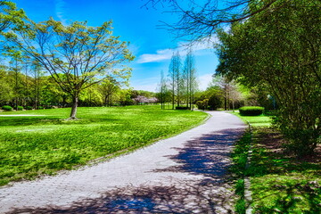 五月晴れの初夏も近づくと公園は新緑の色で輝きます