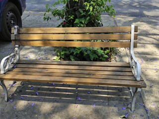 bench in the park,banco en el parque
