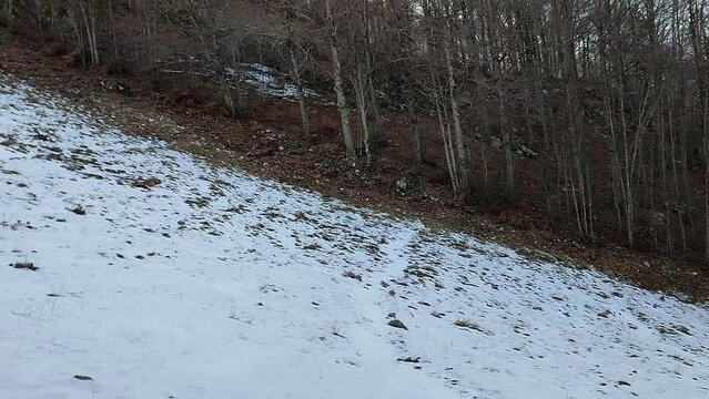 Campitello Matese - Panoramica del tratto finale della pista Del Caprio