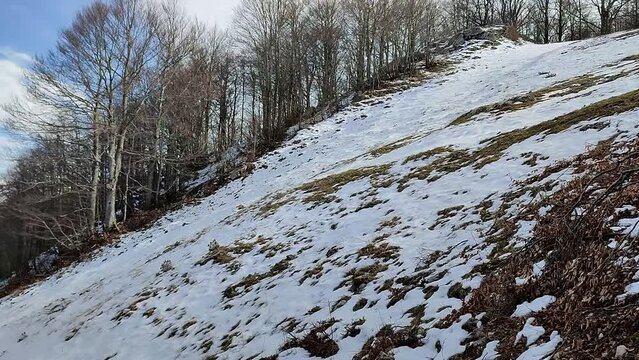 Campitello Matese - Scorcio del tratto finale della pista Del Caprio