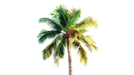 Exotic tropical high detailed palm tree isolated. vector