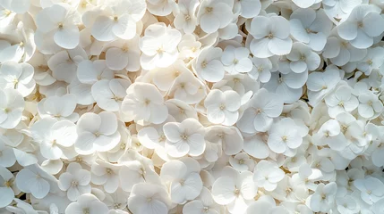 Rolgordijnen white hydrangea flowers as background top view © HARUKA