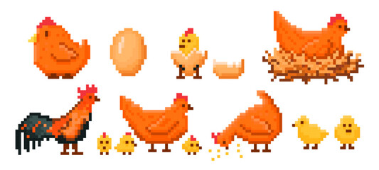 Farm chicken pixel art. Chick hatching from egg, hen on nest, rooster and baby chicks retro 8 bit video game style vector illustration set © WinWin