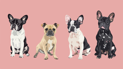 Four dog breeds. French dogs. Different cute funny