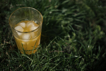 freshly squeezed orange juice with ice in a glass on nature