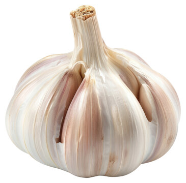 PNG Photo of a garlic clove vegetable beverage produce