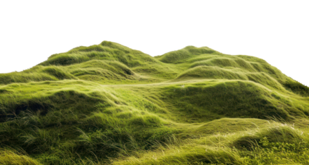 PNG Landscape nature hill vegetation