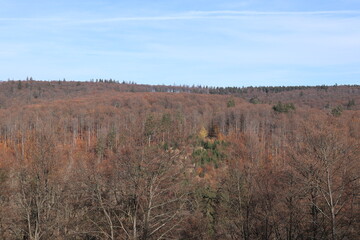 Blick auf die Herbstlichen Wälder bei Schmallenberg im Sauerland	
