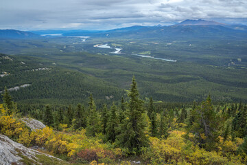 Fototapeta na wymiar Grey Mountain, Whitehorse Yukon