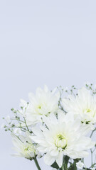 白い菊の花　仏花　供花　葬式　葬儀　お花のお供え