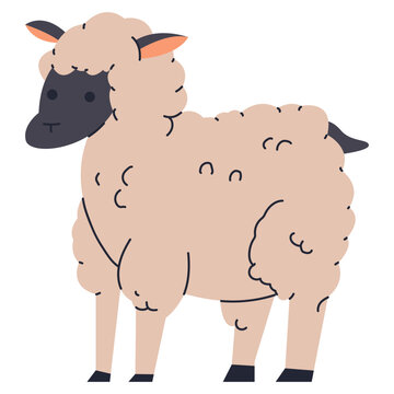 Cute sheep vector cartoon farm animal illustration isolated on a white background.